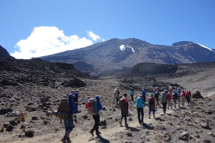Lauren Williams-Her Climb to the Top of the World