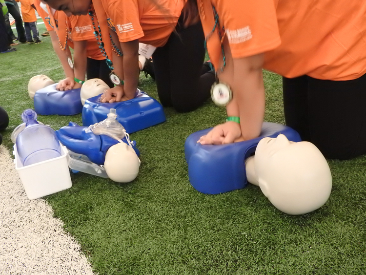 Dolphins Family Fit Fest